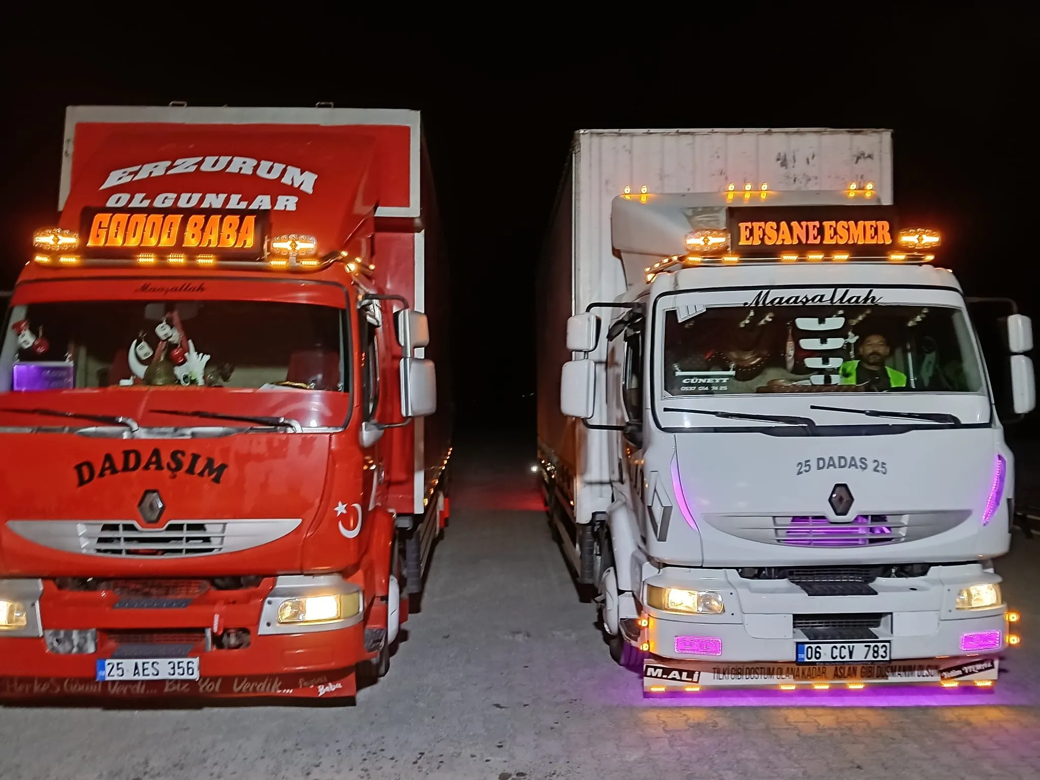 Erzurum Evden Eve Nakliyat